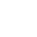 security-white-icon
